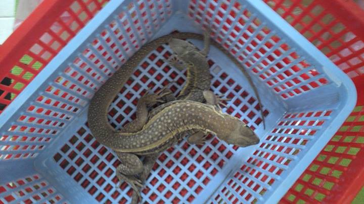 Đặc Sản Phan Thiết - Dông Cát