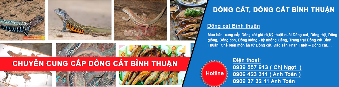 dông bình thuận